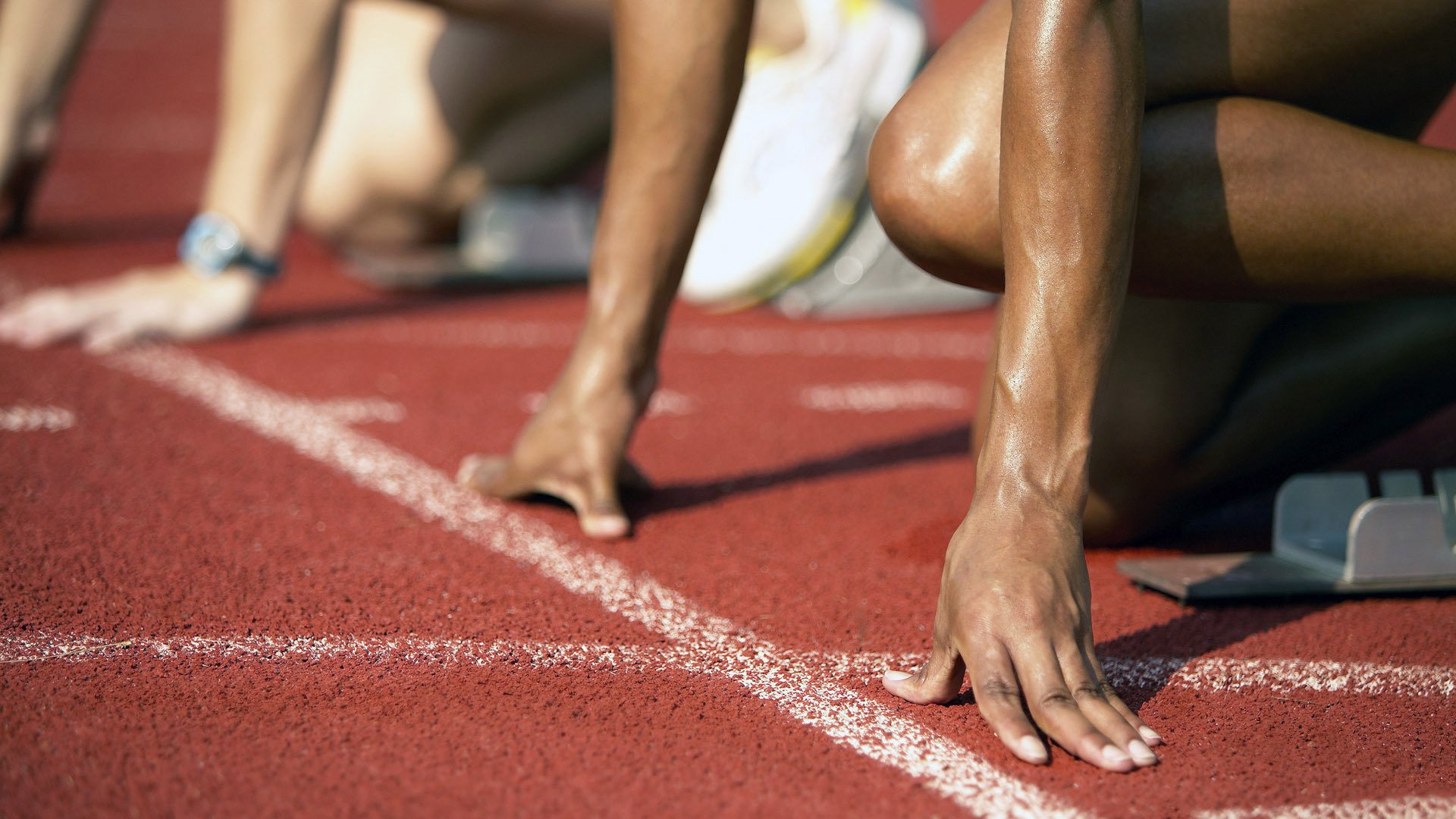 体育赛事粉丝互动